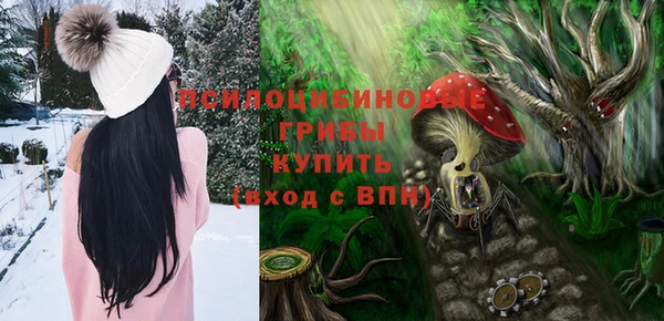 альфа пвп Волгодонск