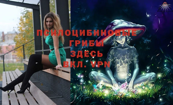 apvp Ладушкин