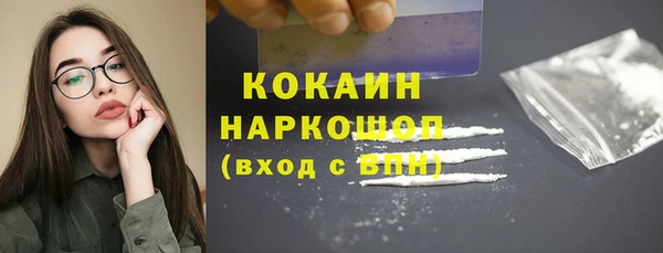 Альфа ПВП Лагань
