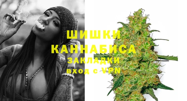 Альфа ПВП Лагань