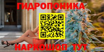 PSILOCYBIN Берёзовский