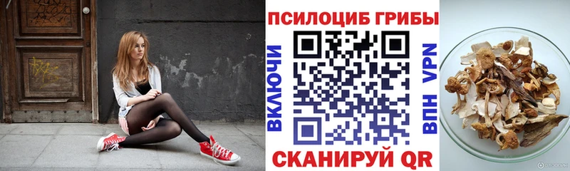 Галлюциногенные грибы мицелий  цены наркотик  кракен сайт  Кисловодск 