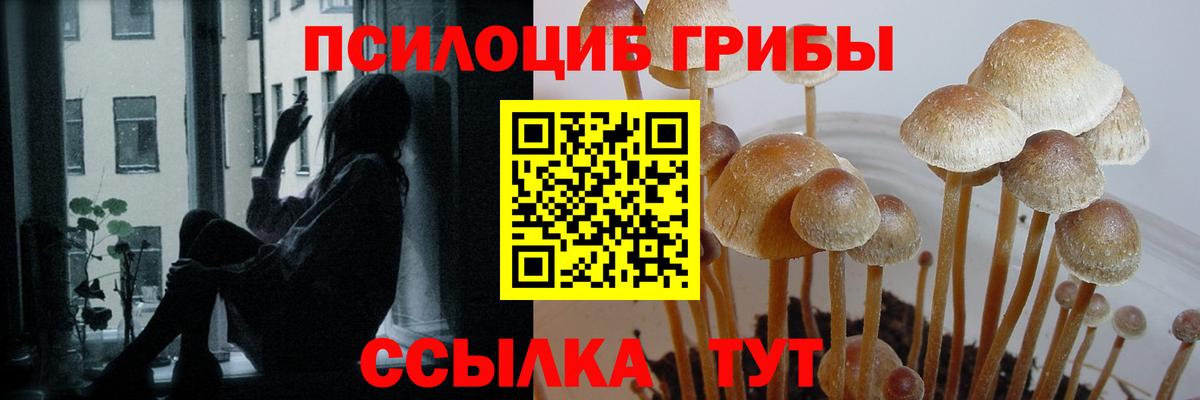 Галлюциногенные грибы мухоморы  Кисловодск  Галлюциногенные грибы Cubensis 